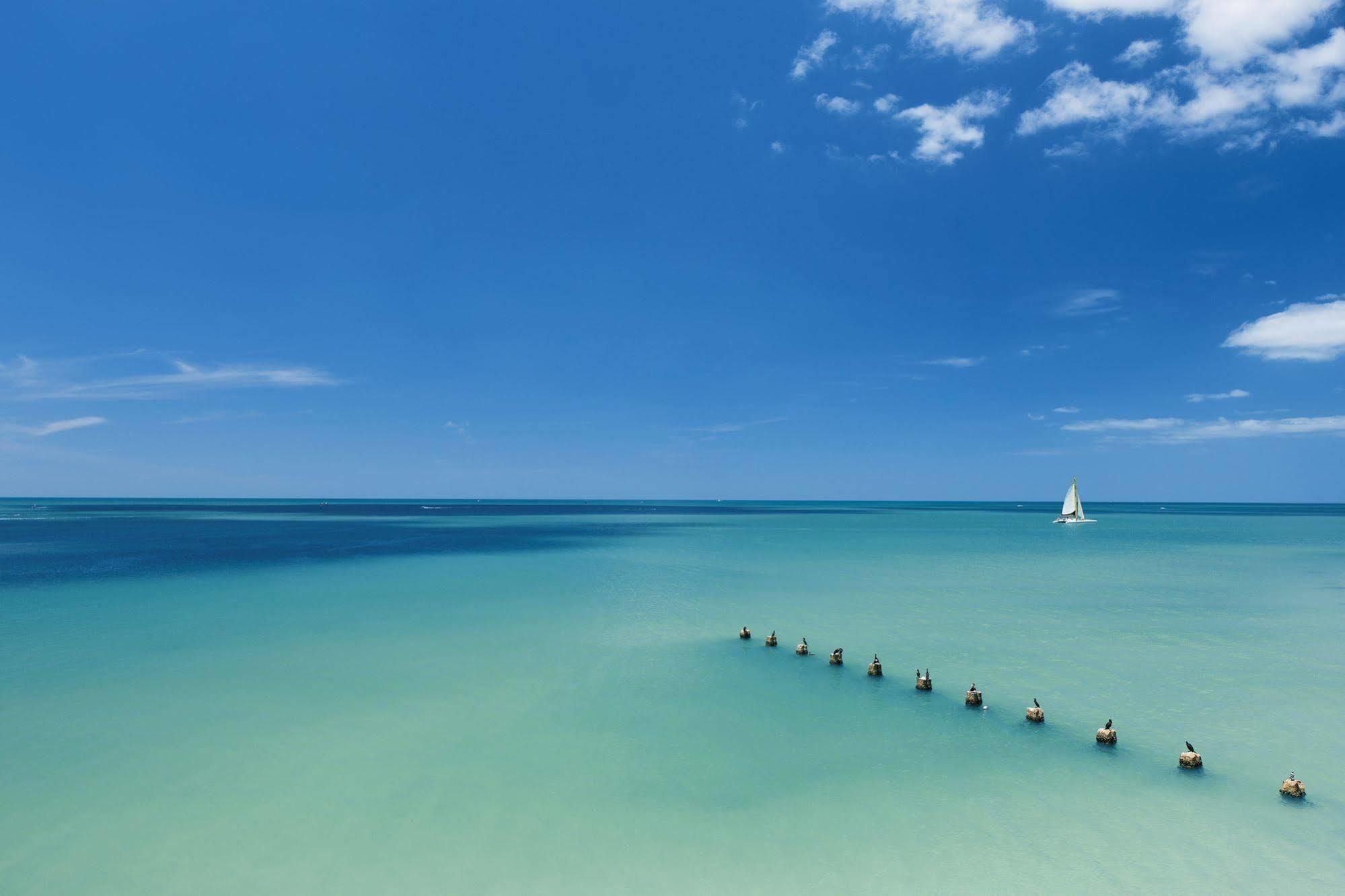 Opal Sands Clearwater Beach Dış mekan fotoğraf